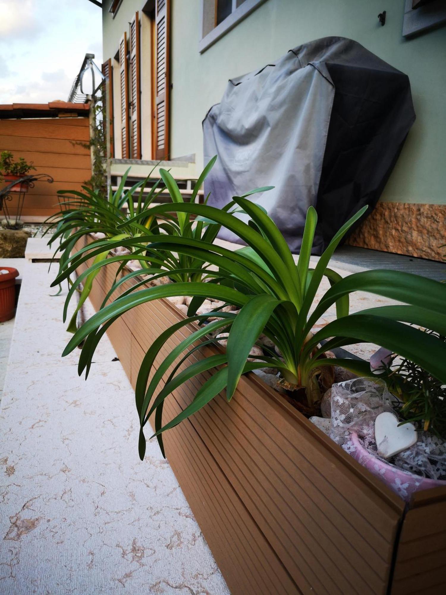 Apartment Sweet Retreat Dro Exterior foto